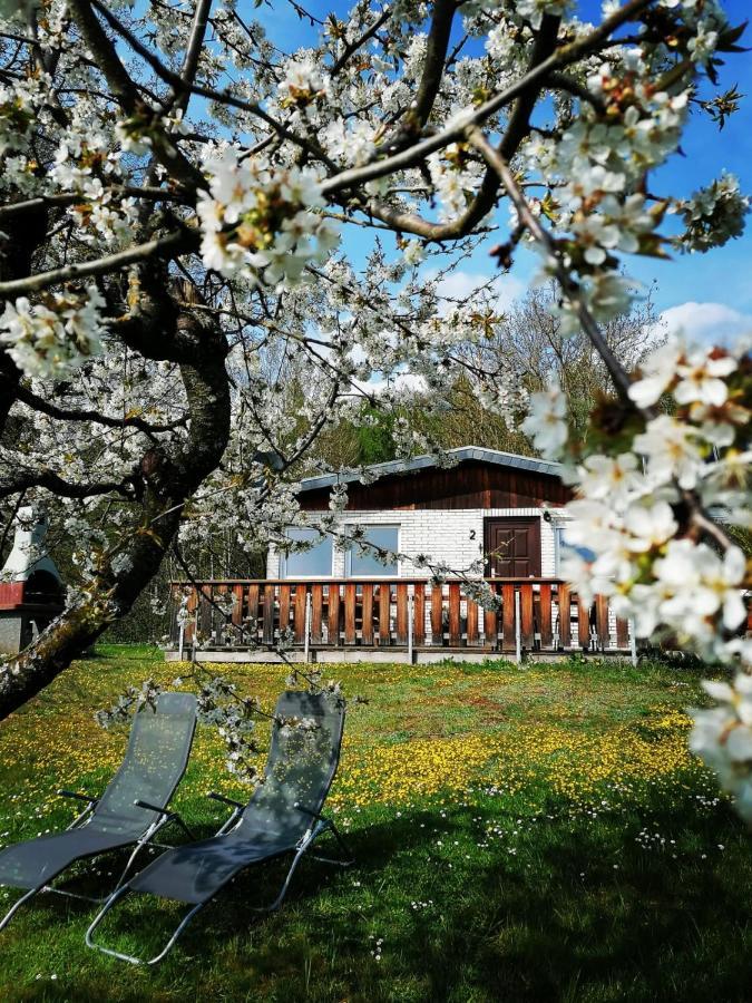Ferienhaus Chiara, Suedharz, Harztor Ilfeld Kültér fotó